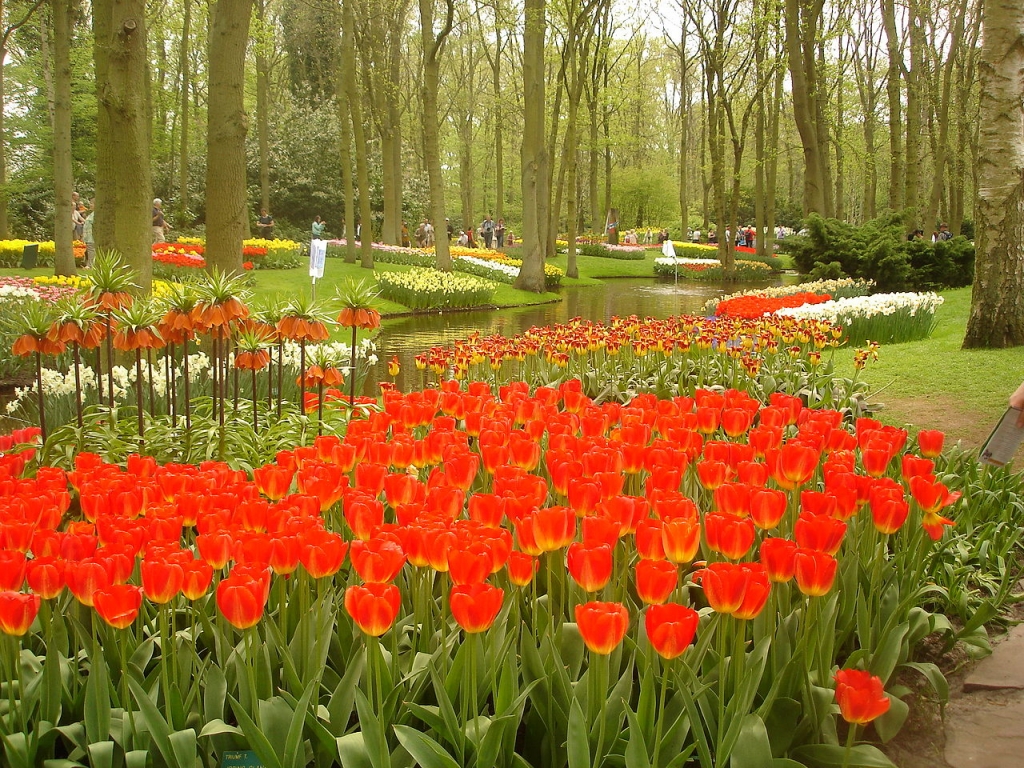 Imagem para MundodeChico - Jardim Keukenhof Holanda W2