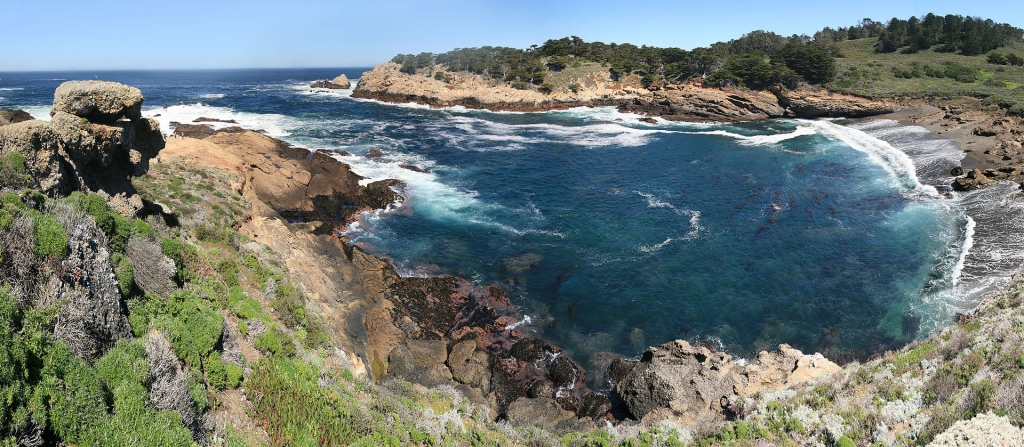 Imagem para MDC - Point Lobos Carmel California 04